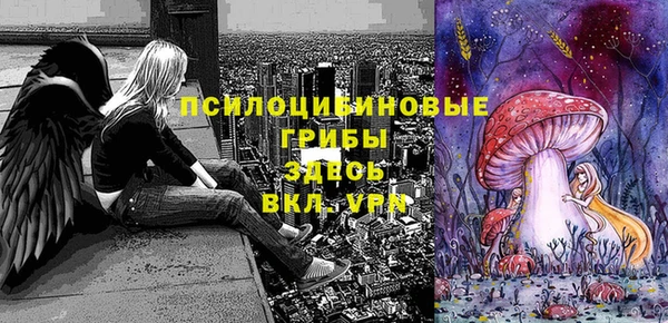МДПВ Верея