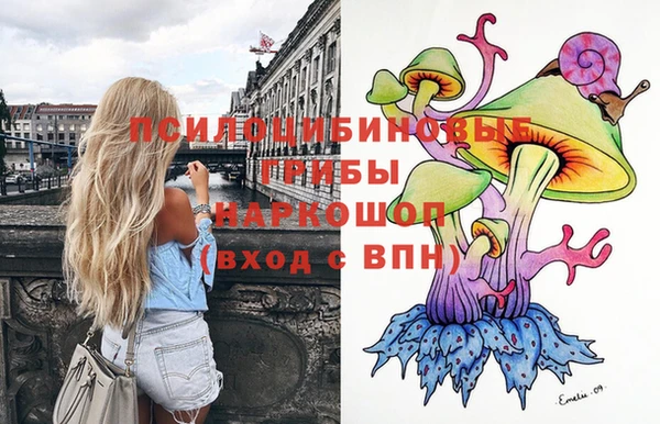 МДПВ Верея