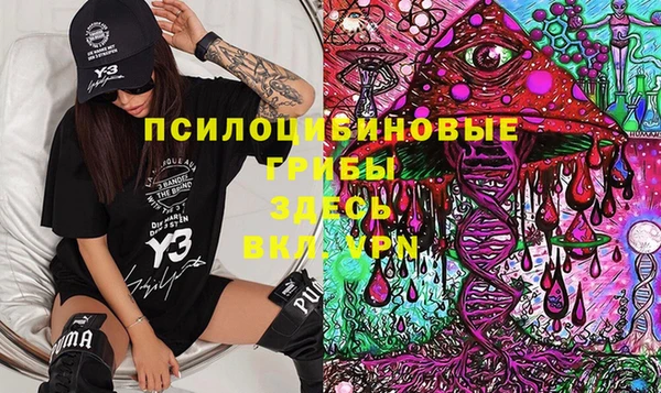 МДПВ Верея