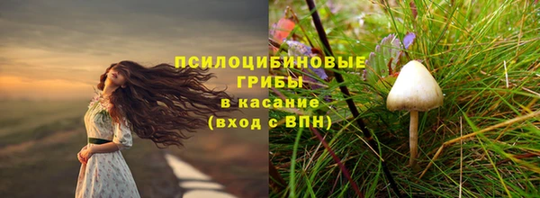 МДПВ Верея